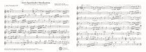 Zwei Egerländer Musikanten