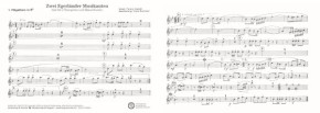 Zwei Egerländer Musikanten