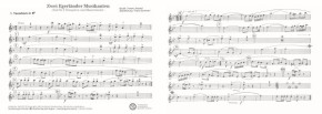 Zwei Egerländer Musikanten